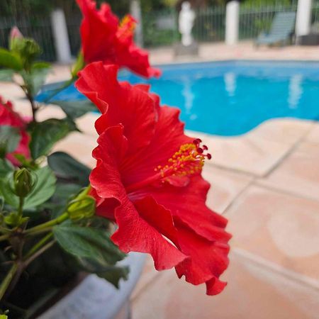 Les Jardins Du Patriarche Hotel Agde Kültér fotó