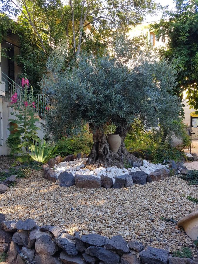 Les Jardins Du Patriarche Hotel Agde Kültér fotó