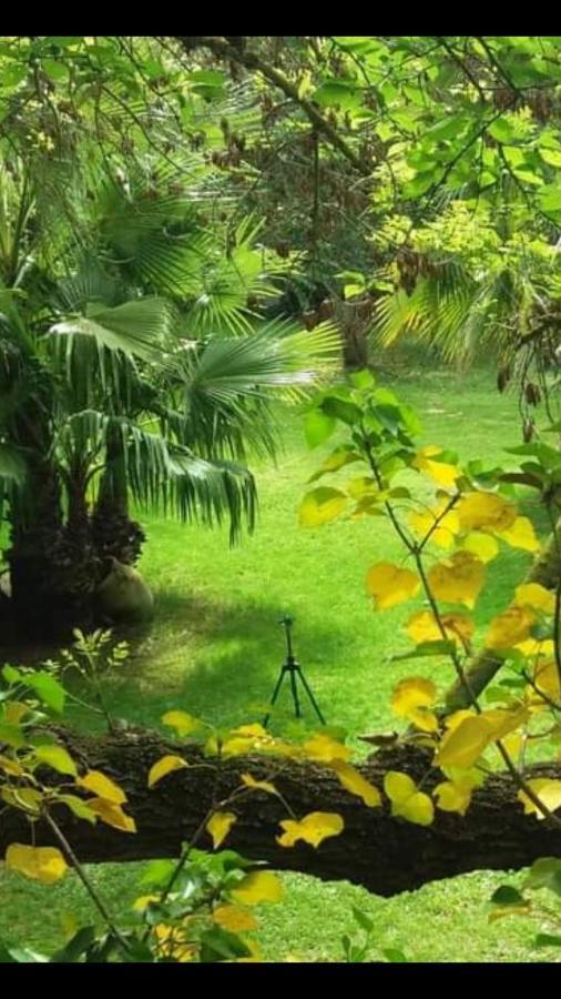 Les Jardins Du Patriarche Hotel Agde Kültér fotó