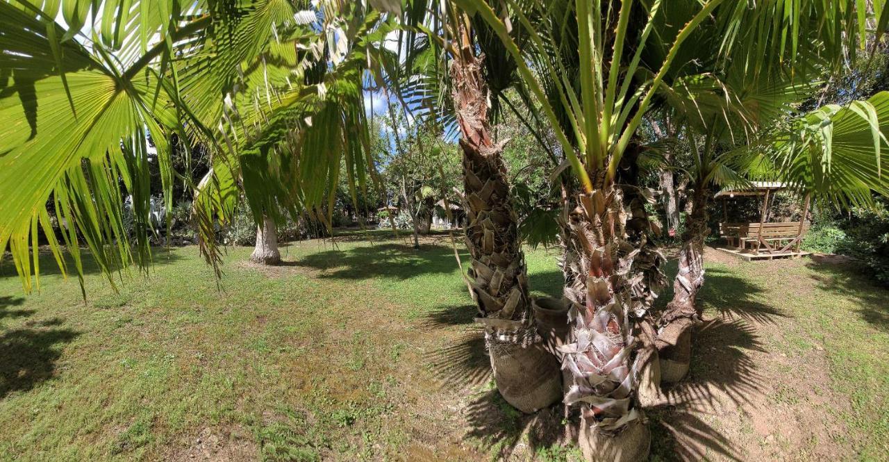 Les Jardins Du Patriarche Hotel Agde Kültér fotó