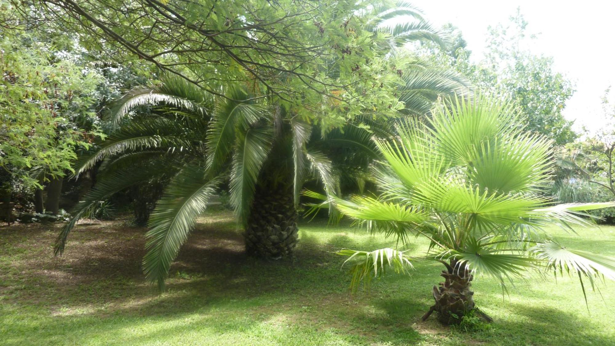 Les Jardins Du Patriarche Hotel Agde Kültér fotó
