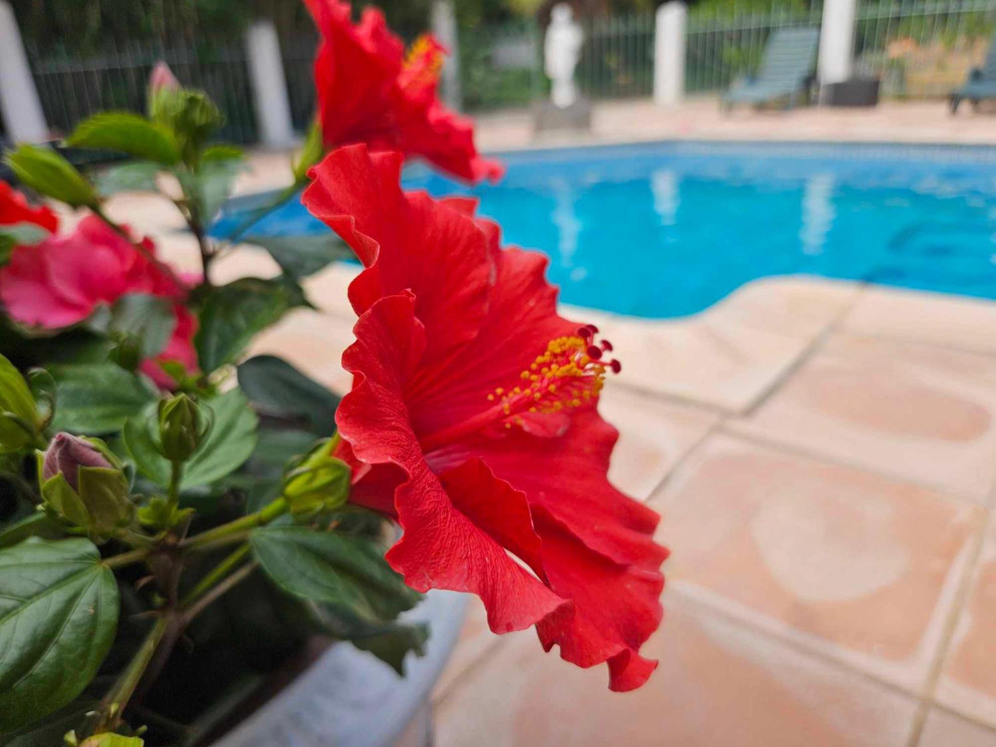 Les Jardins Du Patriarche Hotel Agde Kültér fotó