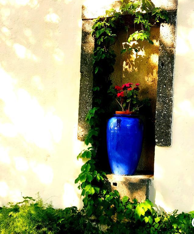Les Jardins Du Patriarche Hotel Agde Kültér fotó
