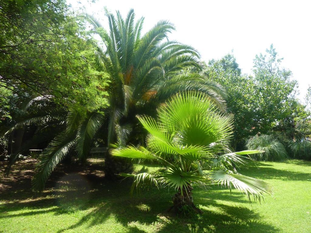 Les Jardins Du Patriarche Hotel Agde Kültér fotó
